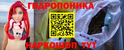 дурь Сланцы