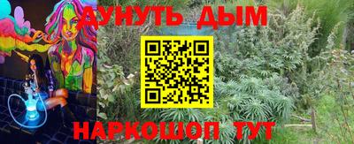 дурь Сланцы