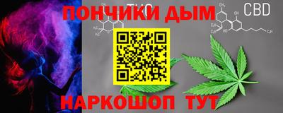 дурь Сланцы
